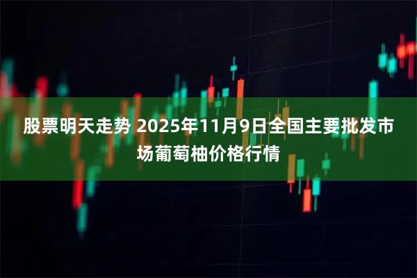 股票明天走势 2025年11月9日全国主要批发市场葡萄柚价格行情