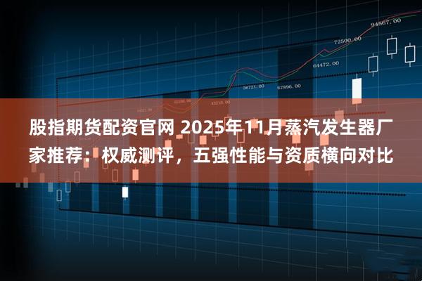 股指期货配资官网 2025年11月蒸汽发生器厂家推荐：权威测评，五强性能与资质横向对比