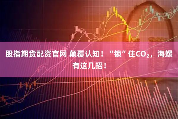 股指期货配资官网 颠覆认知！“锁”住CO₂，海螺有这几招！