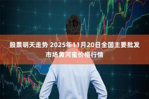 股票明天走势 2025年11月20日全国主要批发市场黄河蜜价格行情