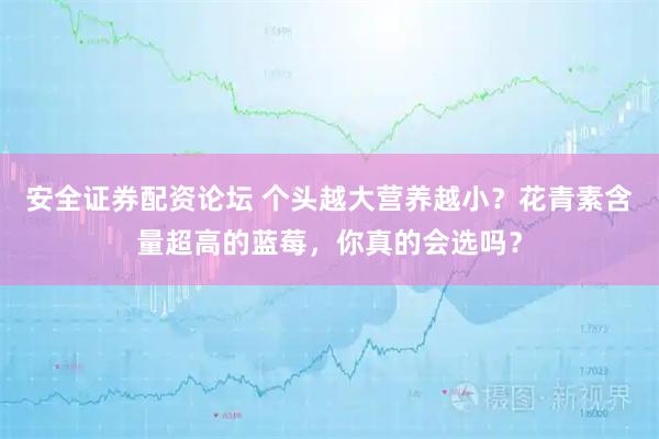 安全证券配资论坛 个头越大营养越小？花青素含量超高的蓝莓，你真的会选吗？