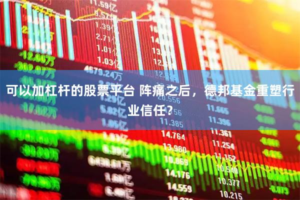 可以加杠杆的股票平台 阵痛之后，德邦基金重塑行业信任？